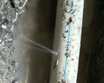 宽甸卫生间测漏水多少钱