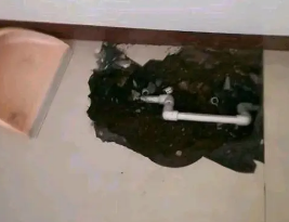 宽甸卫生间测漏水多少钱